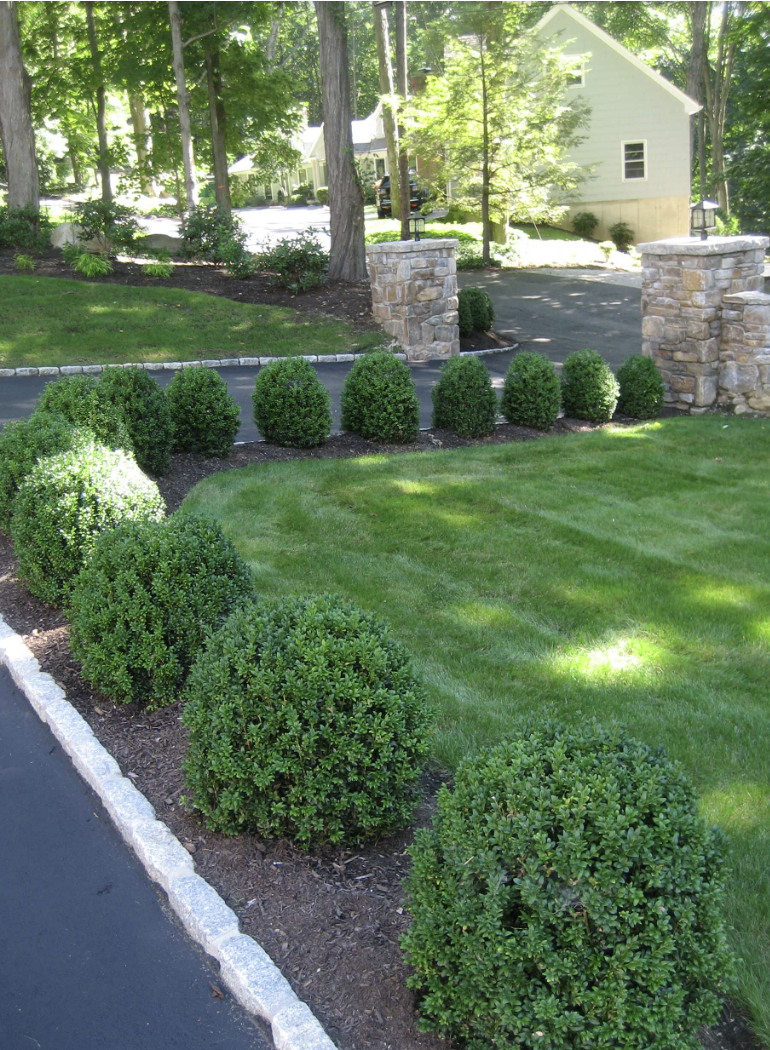 Manicured lawn